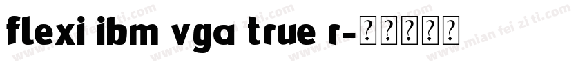 Flexi IBM VGA True R字体转换